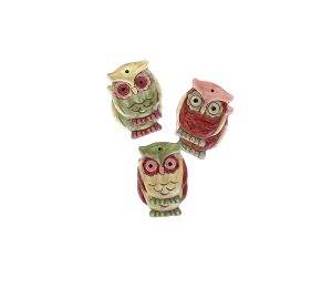 Color Me Mine Owl Ornaments