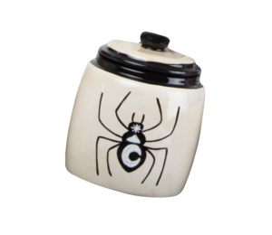 Color Me Mine Celestial Spider Jar